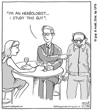 brevity